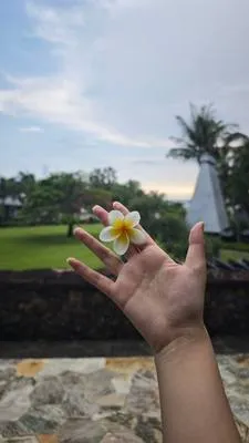guest photo