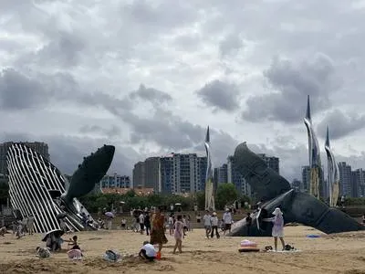 guest photo
