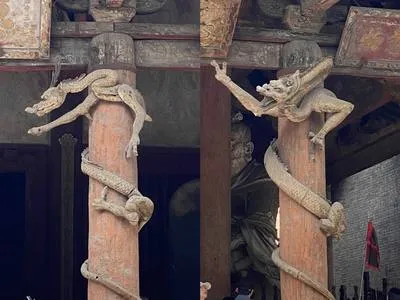 guest photo