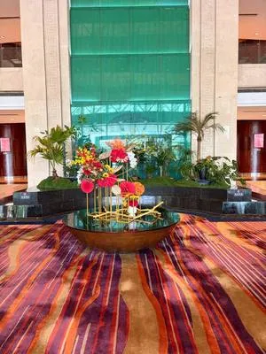 guest photo