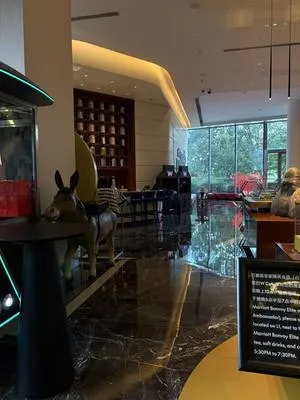 guest photo