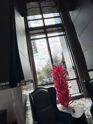 guest photo