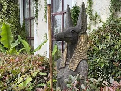 guest photo