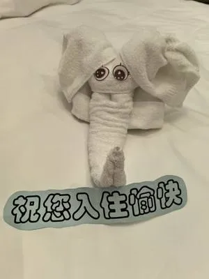 guest photo