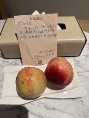 guest photo