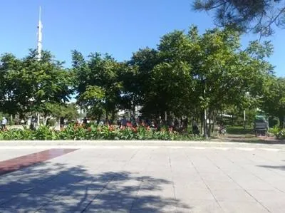 guest photo