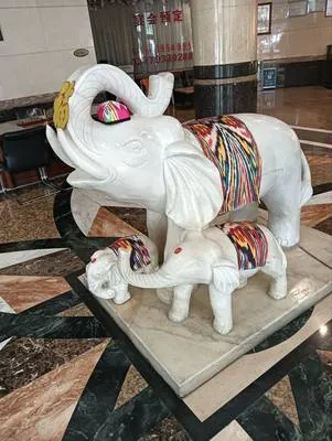 guest photo