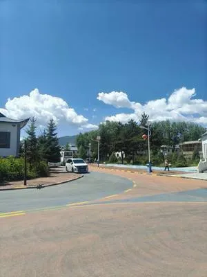 guest photo