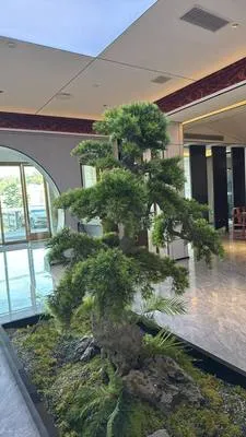 guest photo