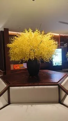 guest photo