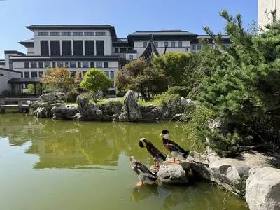 guest photo