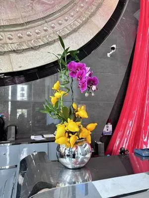 guest photo