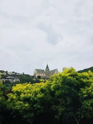 guest photo