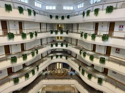 guest photo