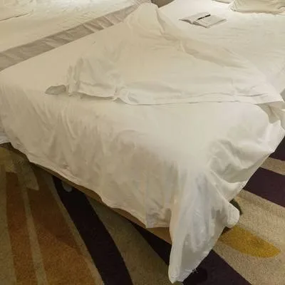 guest photo