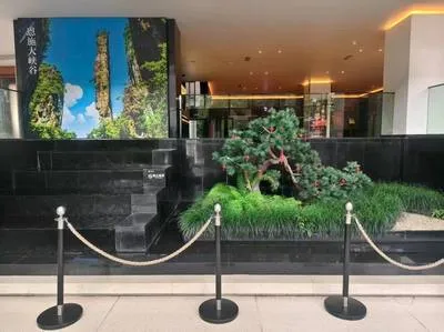 guest photo