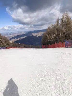 guest photo