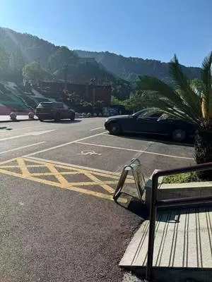 guest photo