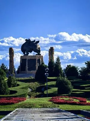 guest photo