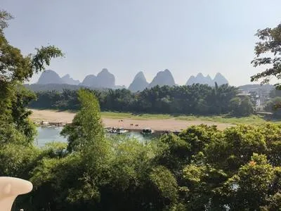 guest photo