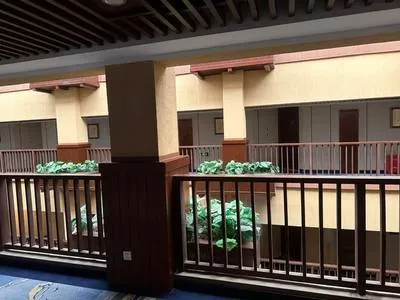 guest photo
