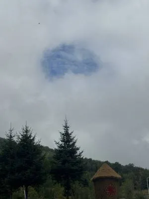guest photo