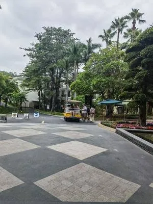 guest photo