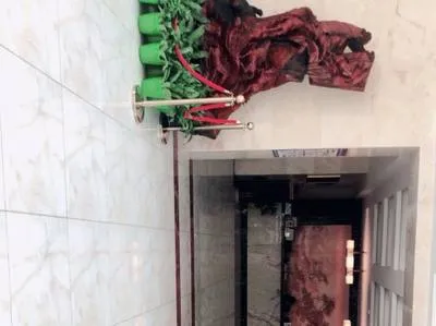 guest photo