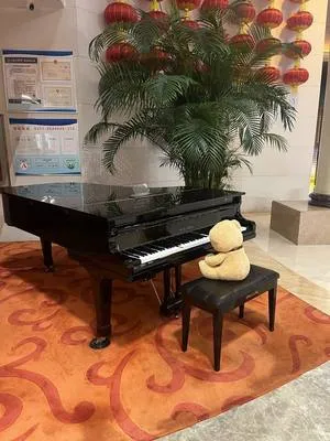 guest photo