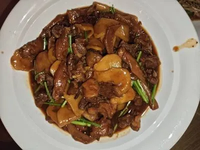 guest photo