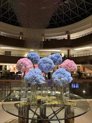 guest photo
