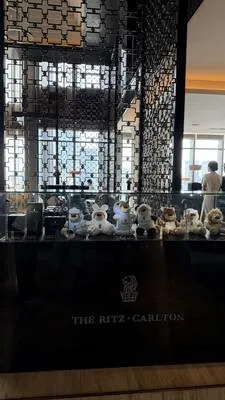 guest photo