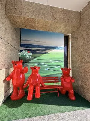 guest photo