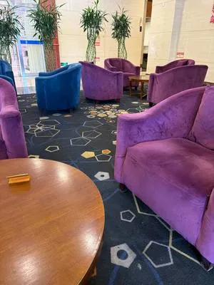 guest photo