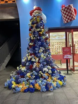 guest photo
