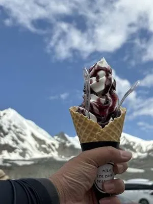 guest photo