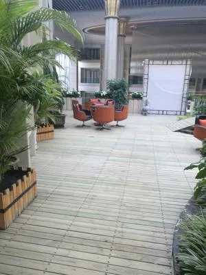 guest photo
