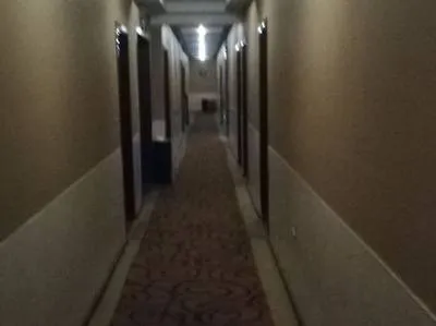 guest photo