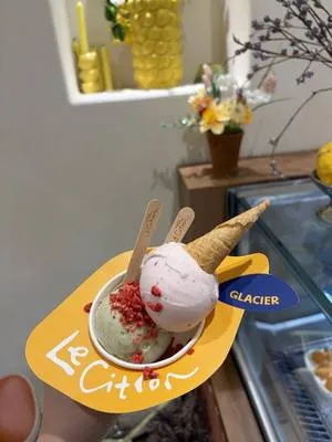 guest photo