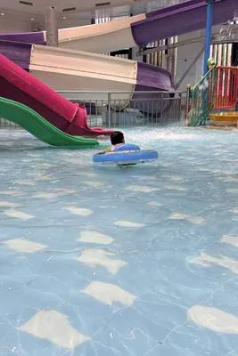 guest photo
