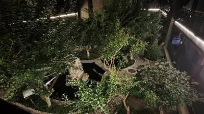 guest photo