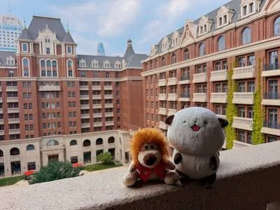 guest photo