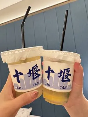 guest photo