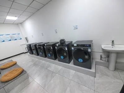 guest photo