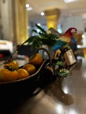 guest photo