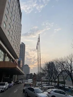 guest photo