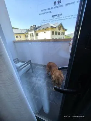 guest photo