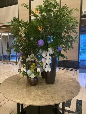 guest photo