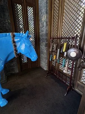 guest photo