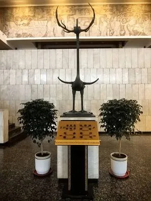 guest photo